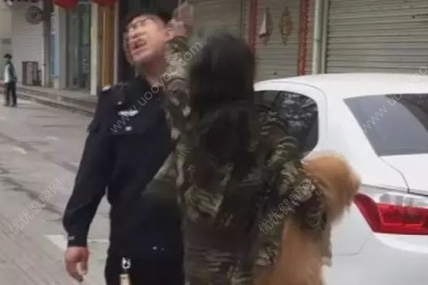 女子未辦狗證還用狗鏈打傷2名執(zhí)法人員，養(yǎng)狗要準(zhǔn)備些什么？(3)