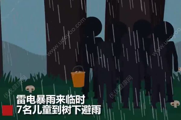 云南7名兒童上山撿菌子，樹下避雨時不幸遭雷擊(1)