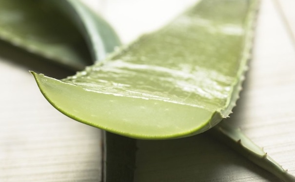 蘆薈有哪些功效？蘆薈怎么用會導(dǎo)致皮膚過敏？(1)