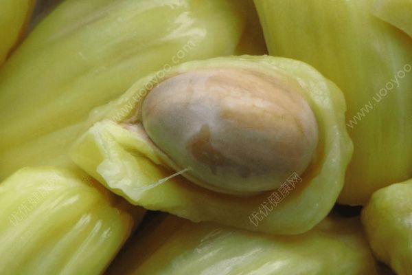 菠蘿蜜減肥能吃嗎？菠蘿蜜減肥的效果好嗎？(3)