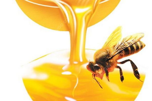 減肥排毒吃什么最好？這些排毒清脂食物讓你越吃越瘦？(2)