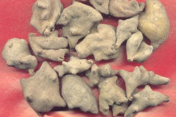 中醫(yī)調(diào)理早泄的方法是什么？早泄的中醫(yī)藥方有這些(2)