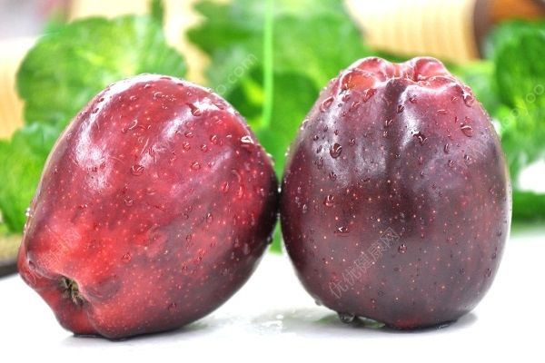 蛇果和蘋果區(qū)別有哪些？蛇果和蘋果營養(yǎng)有什么不同？(3)