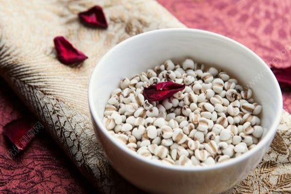 中醫(yī)減肥簡單有效！中醫(yī)減肥食譜有哪些？(1)