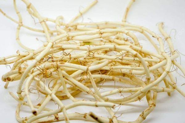 魚(yú)腥草到底是什么？魚(yú)腥草能不能吃？(3)