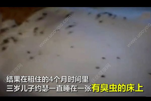 幼兒遭臭蟲咬傷獲賠1000萬！遭到蟲子咬怎么急救？(3)