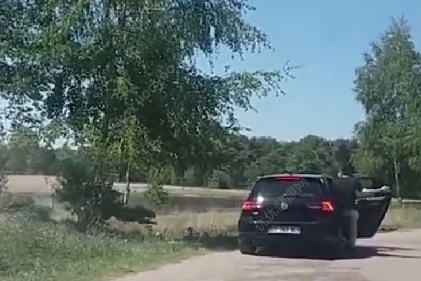 懷抱嬰兒在野生動物園下車，被獵豹圍攻險送命(3)