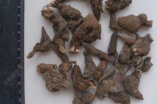 父女喝自制藥酒手腳麻木差點(diǎn)丟命，烏頭堿2毫克致命！(4)