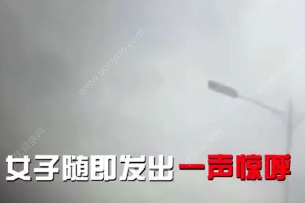 開車玩手機(jī)有多危險(xiǎn)，女子開車玩手機(jī)撞前車(3)