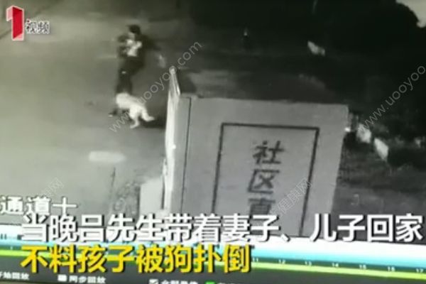 3歲男孩小區(qū)內(nèi)被狗咬頭縫10針，被狗咬傷后怎么處理？(1)