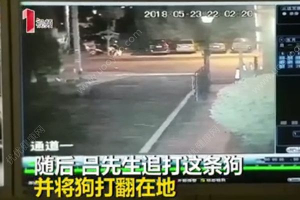 3歲男孩小區(qū)內(nèi)被狗咬頭縫10針，被狗咬傷后怎么處理？(2)