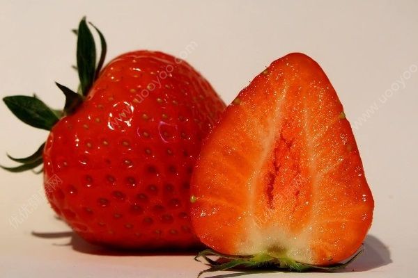 草莓有哪些保健功效？草莓可以預(yù)防脫發(fā)你知道嗎？(3)