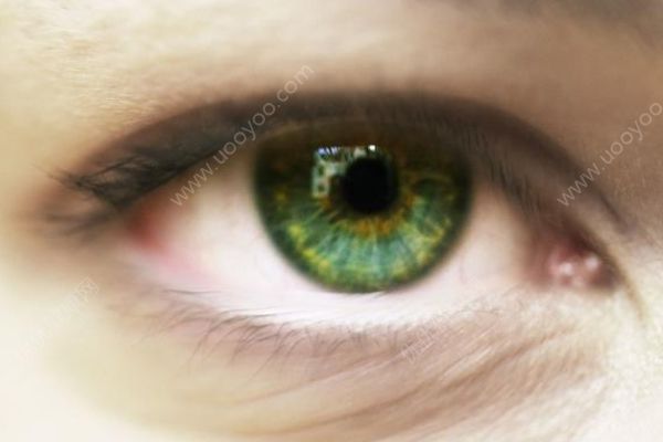 喜歡吃魚的人真的聰明嗎？經(jīng)常吃魚有很多好處！(2)