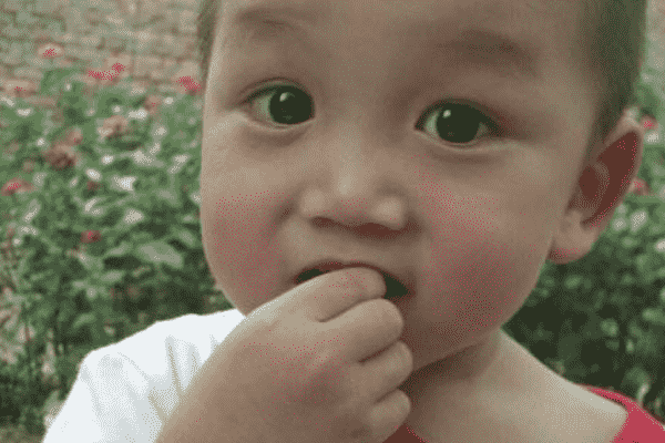 嗑瓜子緩解緊張情緒，怎么嗑瓜子不上火？(1)