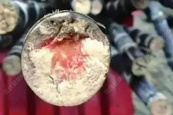 清明前后千萬(wàn)別吃甘蔗，比毒蛇還毒可致終身殘疾(1)