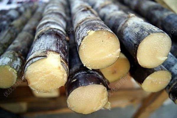 清明前后千萬(wàn)別吃甘蔗，比毒蛇還毒可致終身殘疾(4)