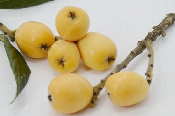 冰糖蒸枇杷有哪些功效？吃枇杷要注意些什么？(2)