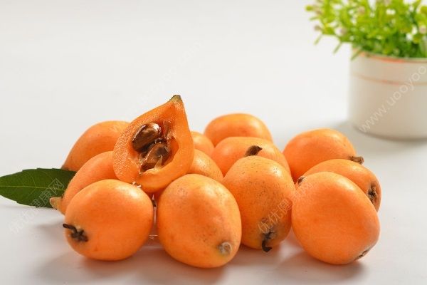 冰糖蒸枇杷有哪些功效？吃枇杷要注意些什么？(4)