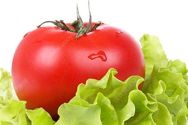 吃西紅柿也能中毒？春季這樣吃西紅柿易中招(2)