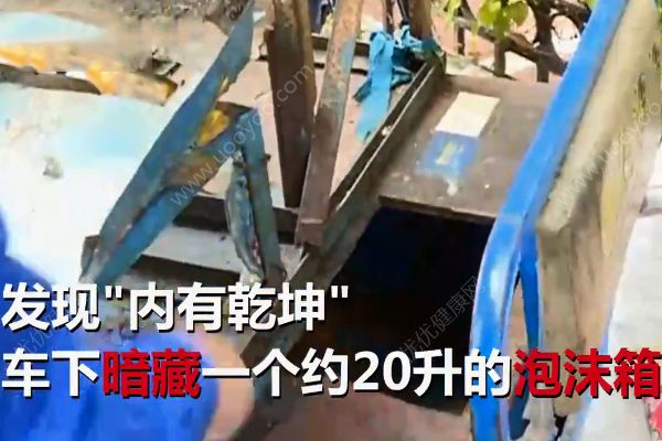 1根甘蔗榨5杯汁真相！你見(jiàn)過(guò)這樣榨甘蔗汁的嗎？(2)