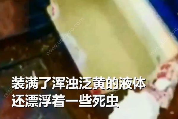 1根甘蔗榨5杯汁真相！你見(jiàn)過(guò)這樣榨甘蔗汁的嗎？(3)