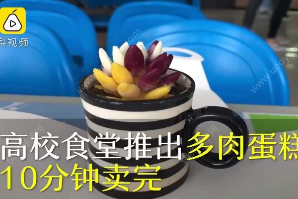 高校食堂推出多肉蛋糕10分鐘搶光，12元一份不漲價(jià)(3)