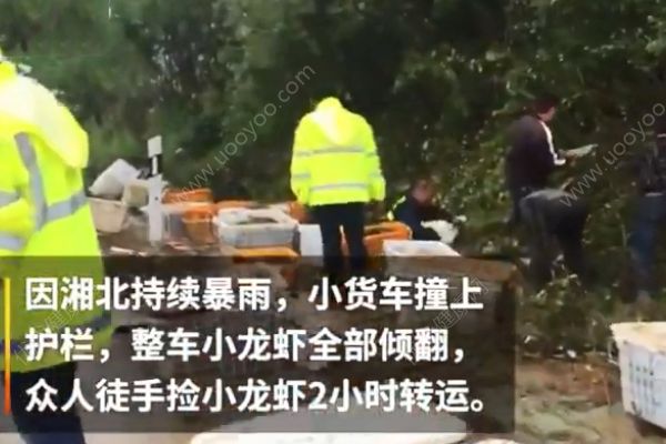 車翻了2噸小龍蝦跑了！簡直就是吃貨的噩耗！(2)