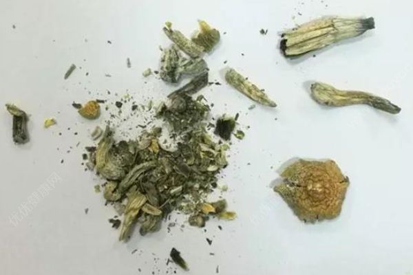 吃了蘑菇產(chǎn)生迷幻效果，樂(lè)隊(duì)成員帶它乘火車被抓了(1)
