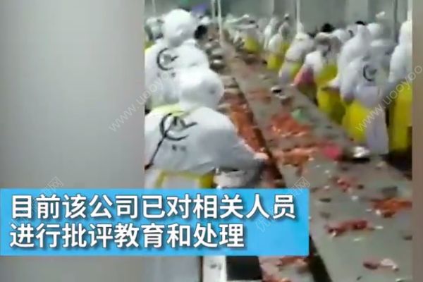 小龍蝦加工企業(yè)生產(chǎn)車間發(fā)生內(nèi)訌，工人互扔小龍蝦(2)