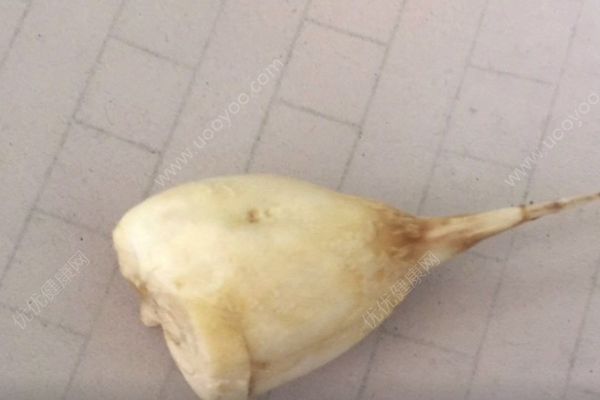 市民煮魚掉出稀罕物有人開價百萬，魚寶很值錢嗎？(2)