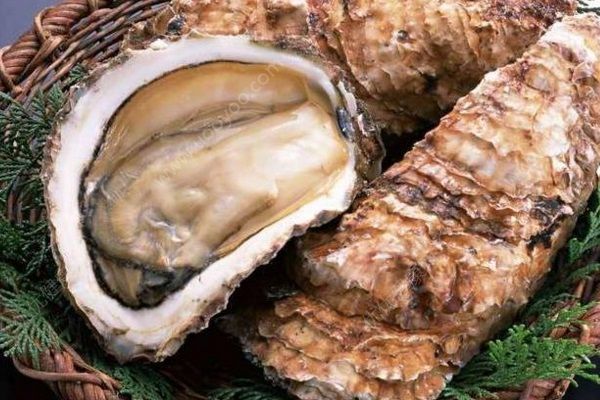 法國污染牡蠣銷往中國，牡蠣受到大腸桿菌污染(2)