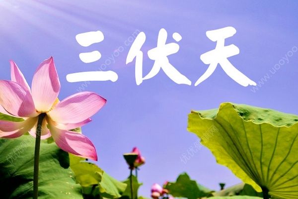 今日入伏長(zhǎng)達(dá)40天！三伏天如何養(yǎng)生？(1)