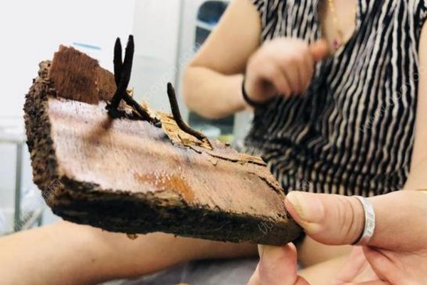 女子穿拖鞋晨跑腳底扎進(jìn)生銹鐵釘板，若治療不當(dāng)有生命危險(xiǎn)(2)