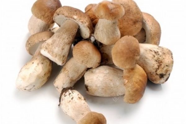 一家四口吃野蘑菇中毒，醫(yī)生：夏季食物中毒高發(fā)(4)