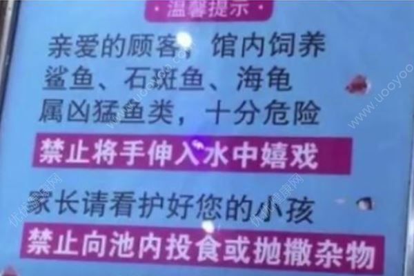 女童被商場(chǎng)鯊魚咬傷致手部骨折，母親：它突然跳起(4)