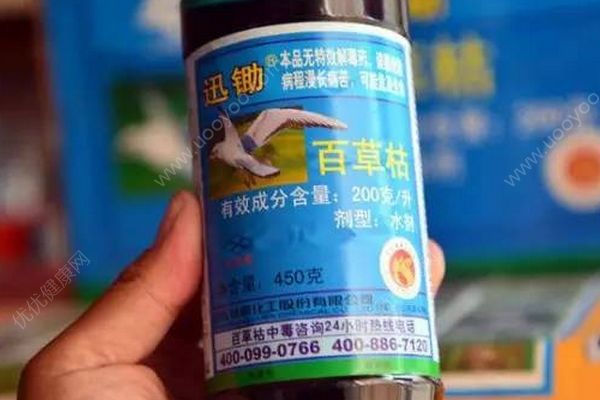 “殺魚弟”回應網友質疑：喝的百草枯不是假藥(4)