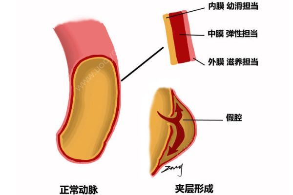 深圳52歲女子突發(fā)腹痛求醫(yī)，7小時打兩針醫(yī)院身亡(2)