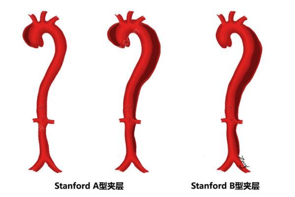 深圳52歲女子突發(fā)腹痛求醫(yī)，7小時打兩針醫(yī)院身亡(4)