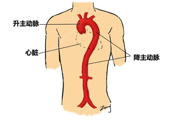 深圳52歲女子突發(fā)腹痛求醫(yī)，7小時打兩針醫(yī)院身亡(3)