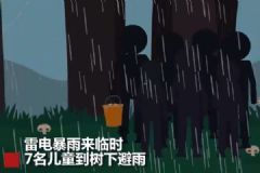 云南7名兒童上山撿菌子，樹下避雨時不幸遭雷擊[多圖]