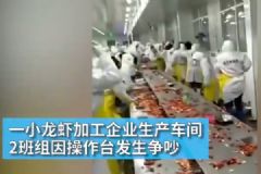 小龍蝦加工企業(yè)生產(chǎn)車間發(fā)生內(nèi)訌，工人互扔小龍蝦[多圖]