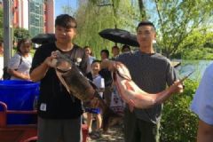 重慶一高校打撈萬(wàn)斤魚，將做剁椒魚頭等給師生吃[多圖]