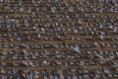 內(nèi)蒙古800只百靈鳥遭毒殺，雪融后再現(xiàn)4000只死體[多圖]