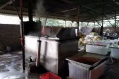 廣東查獲4000斤毒雞腳，工業(yè)雙氧水泡鳳爪[多圖]