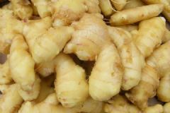 生姜這樣吃可能會致命！生姜的相克食物有哪些？[多圖]