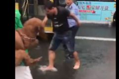 抱狗乘公交車遭拒，男子與司機雨中斗毆[多圖]