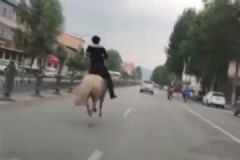 酒駕被查后又騎馬上路，不慎墜馬被摔骨折[多圖]