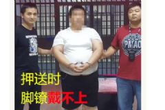 犯罪嫌疑人太胖放棄逃跑，蜀黍：吃胖了那就別跑了[多圖]