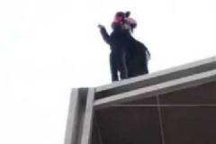 17歲少女不愿跟男友見(jiàn)家長(zhǎng)欲跳樓，消防員一把抱下[多圖]