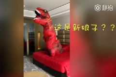 接新娘接到恐龍，新郎驚呆了，緩過神后連說(shuō)“我喜歡”[多圖]